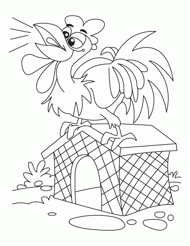 Rooster calling upper ceiling coloring pages | Download Free 
