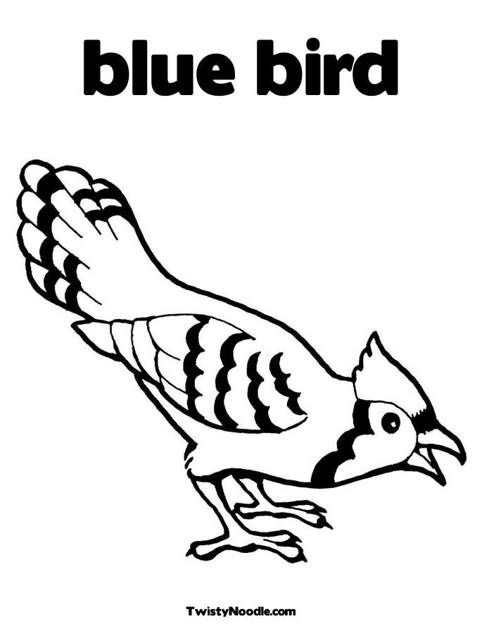 Coloring Pages of Birds | Birds coloring pages for kids | #31 