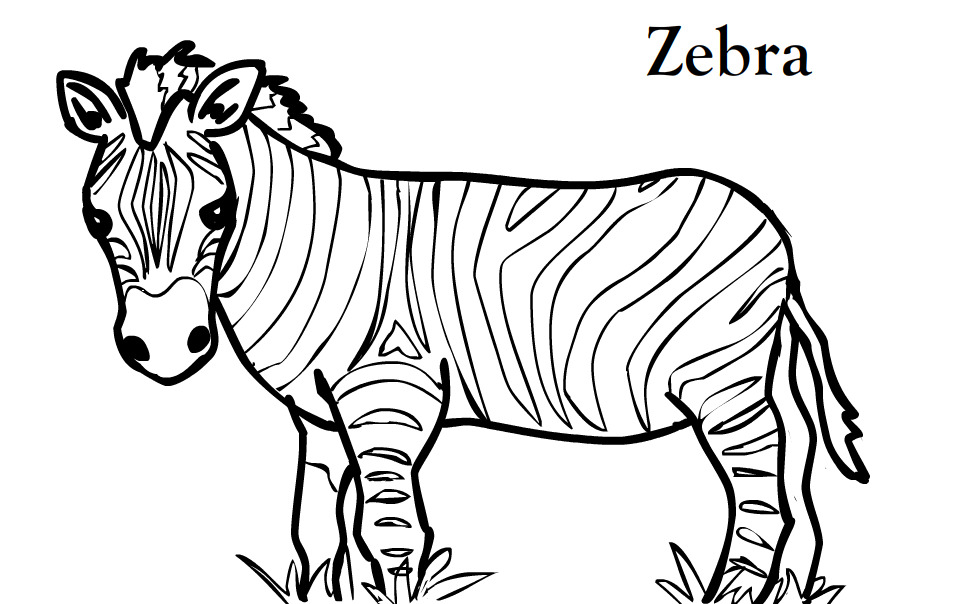 Zebra Coloring Pages | Clipart Panda - Free Clipart Images