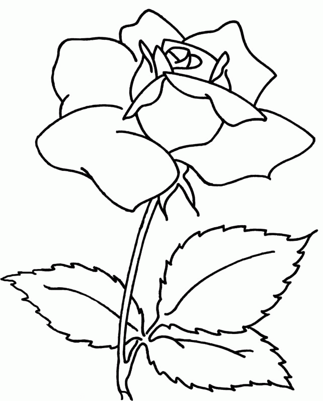 Rose Coloring Sheets Printables - Flowers Coloring Pages : Free 