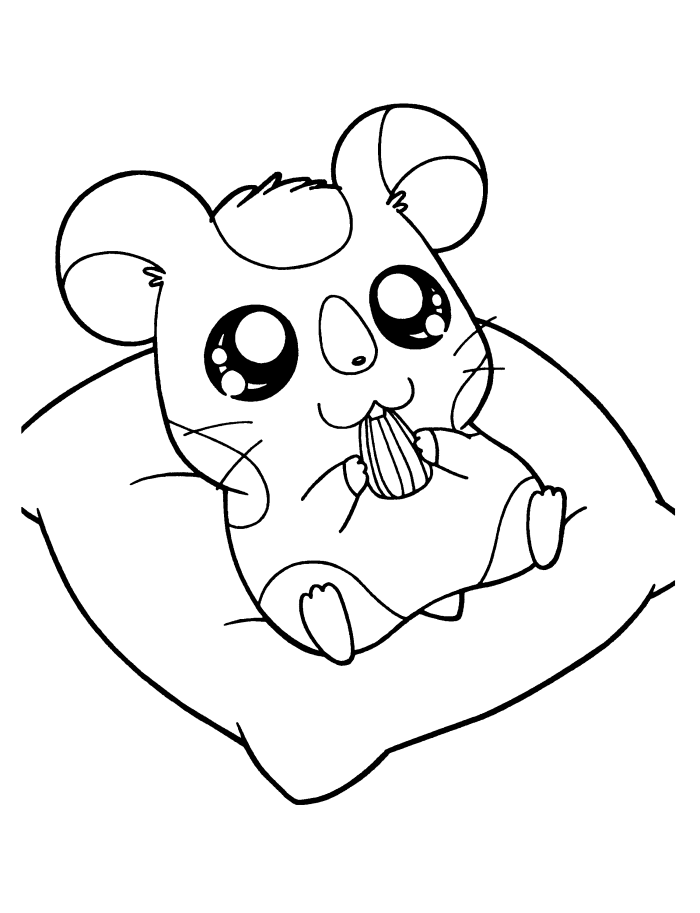 Hamtaro with Sun Flower Coloring Page - Cartoon Coloring Pages on 