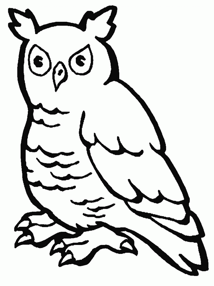barn owl coloring pages for kids | Coloring Pages For Kids