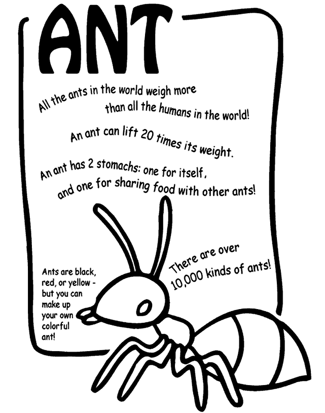 Free Ant Coloring Pages | Coloring