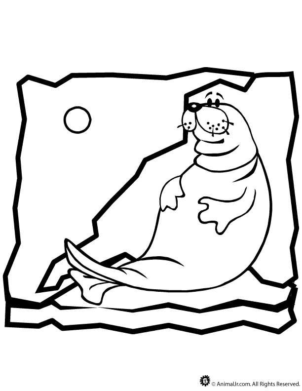 18 Seal Coloring | Free Coloring Page Site