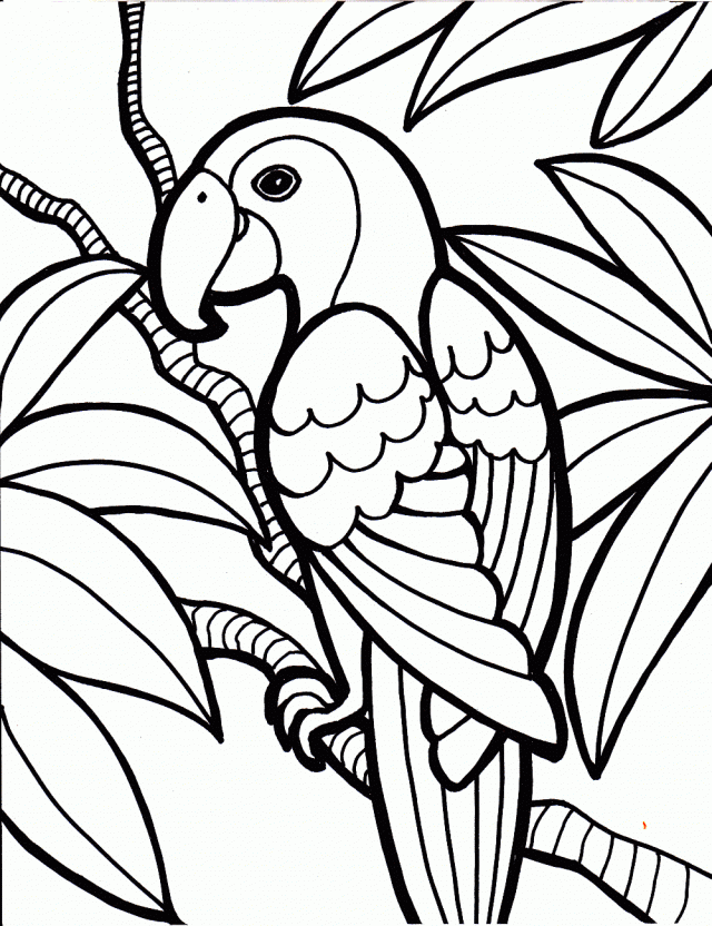 parrot bird coloring pages free for kids to Print | coloring pages