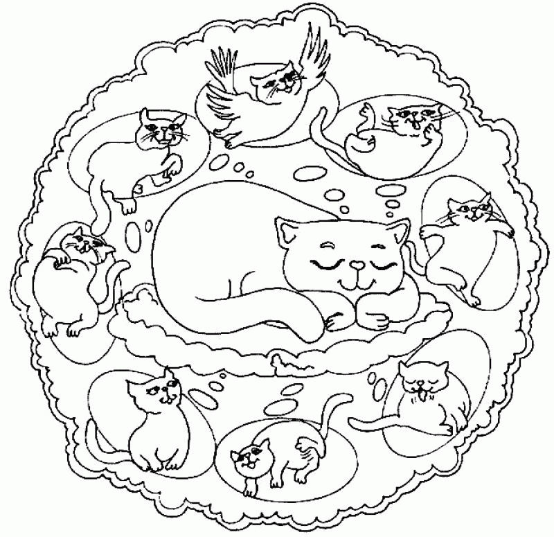 mandala with dreams of the cat coloring pages  kids