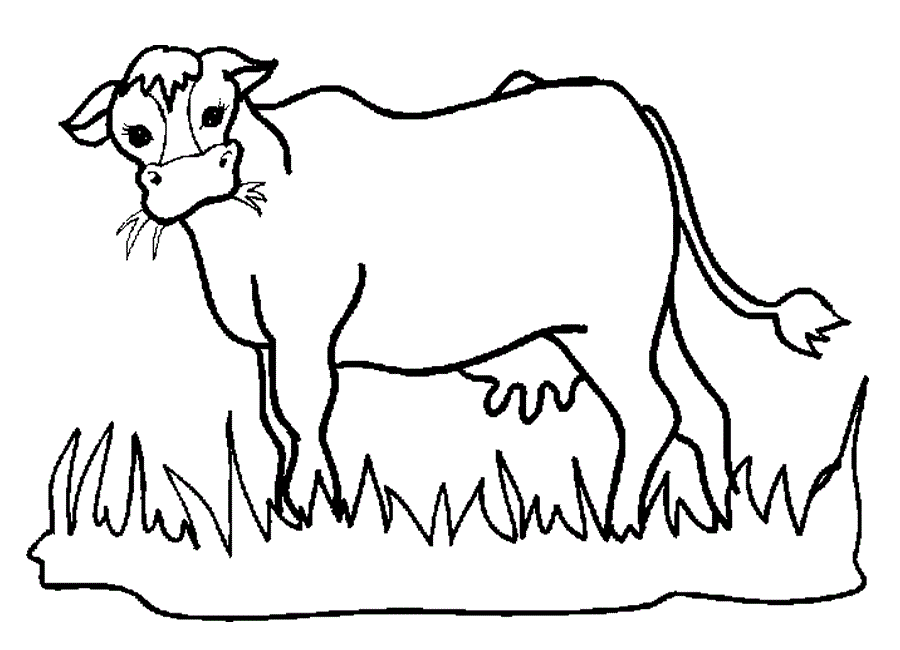 Simple Cow outline Coloring Pages for kids | COLORING WS