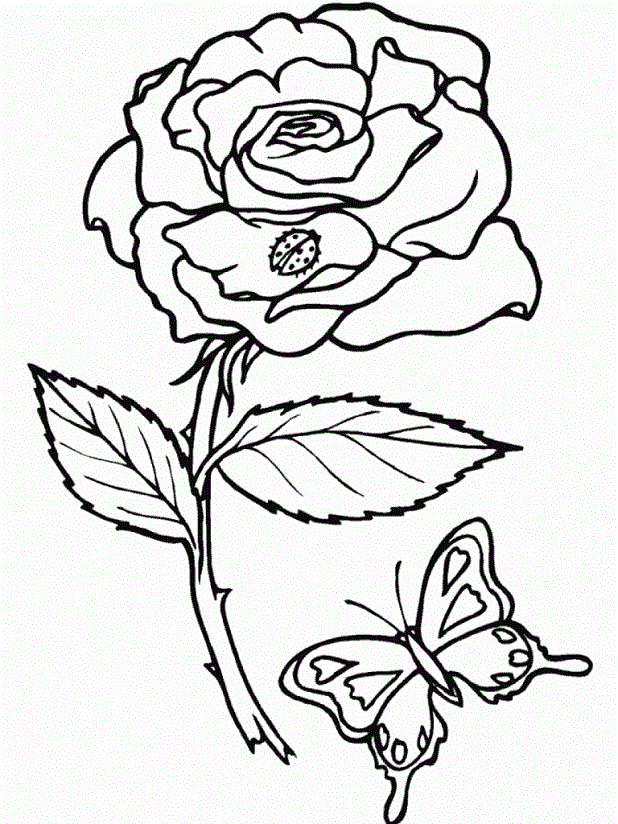 Rainforest Flowers Coloring Pages