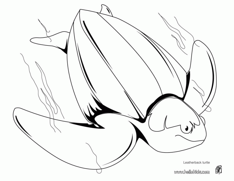 Leatherback Sea Turtle Coloring Pages | 99coloring.com