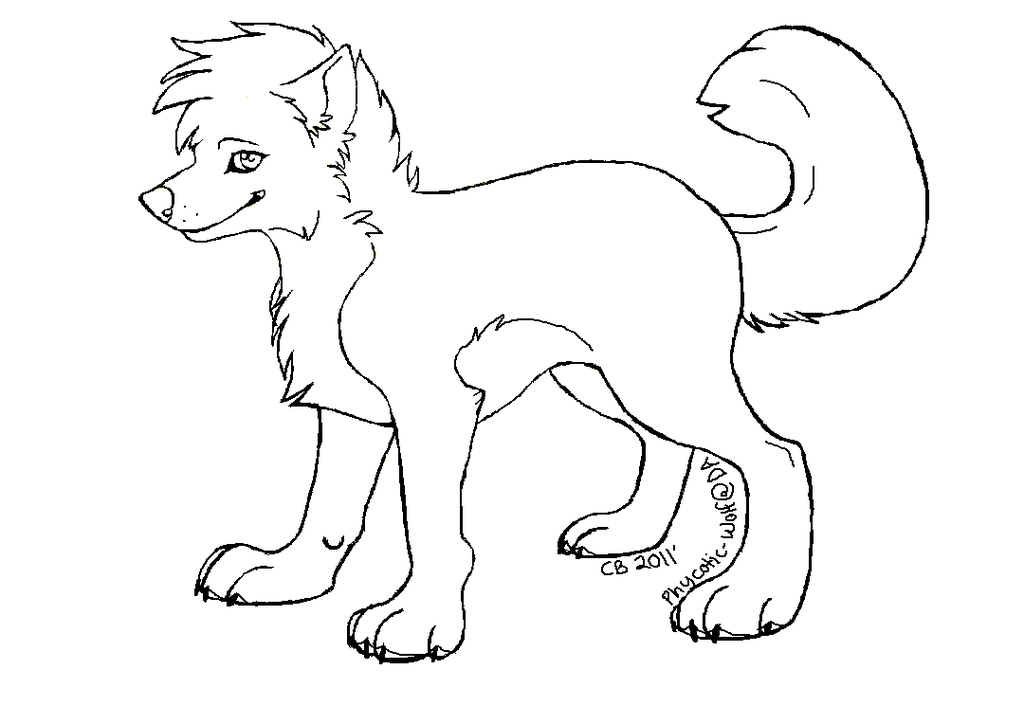 Download Wolf Outline Drawing - Coloring Home