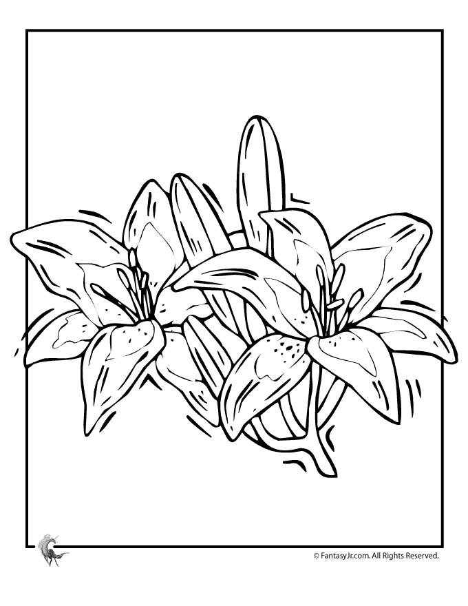 fantasy jr lily flower coloring page