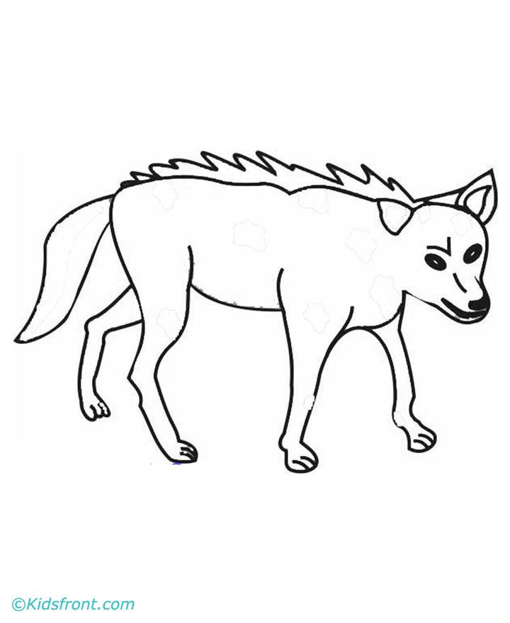 Coyote Coloring Page - Coloring Home