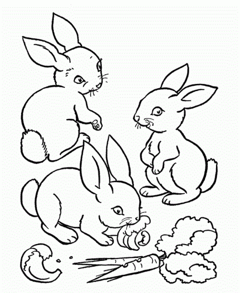 Coloring Pages Rabbits Bunny - Kids Colouring Pages
