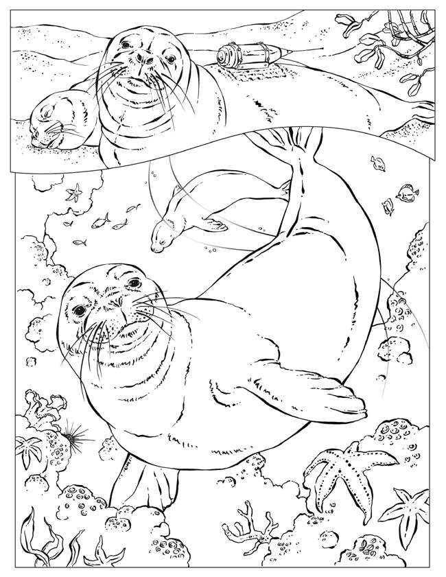 Ocean Animals Coloring Pages For Free - Kids Colouring Pages