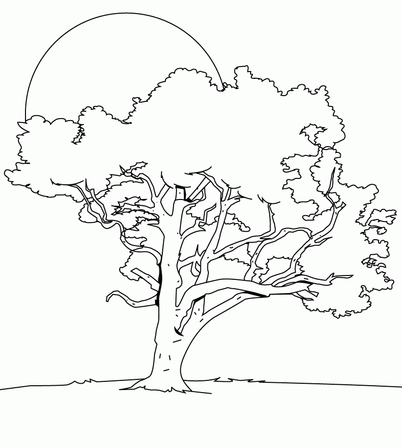 The Big Tree In The Night Coloring Pages - Trees Coloring Pages 