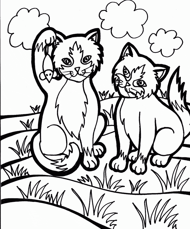 Cat coloring page - Animals Town - animals color sheet - Cat free 