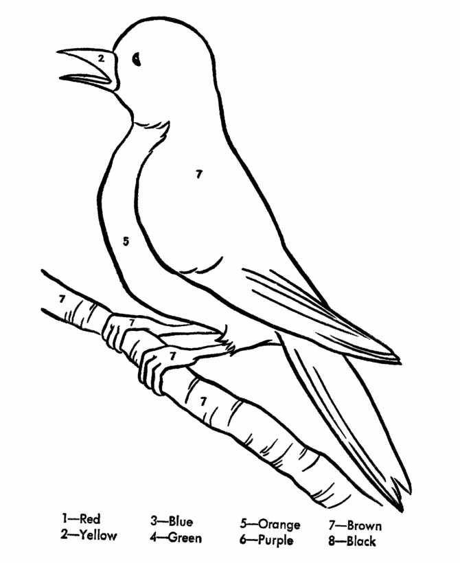 Color by Number Coloring Page | Learn to color by following the color  numbers, Robin on a branch coloring page Activity sheet | HonkingDonkey