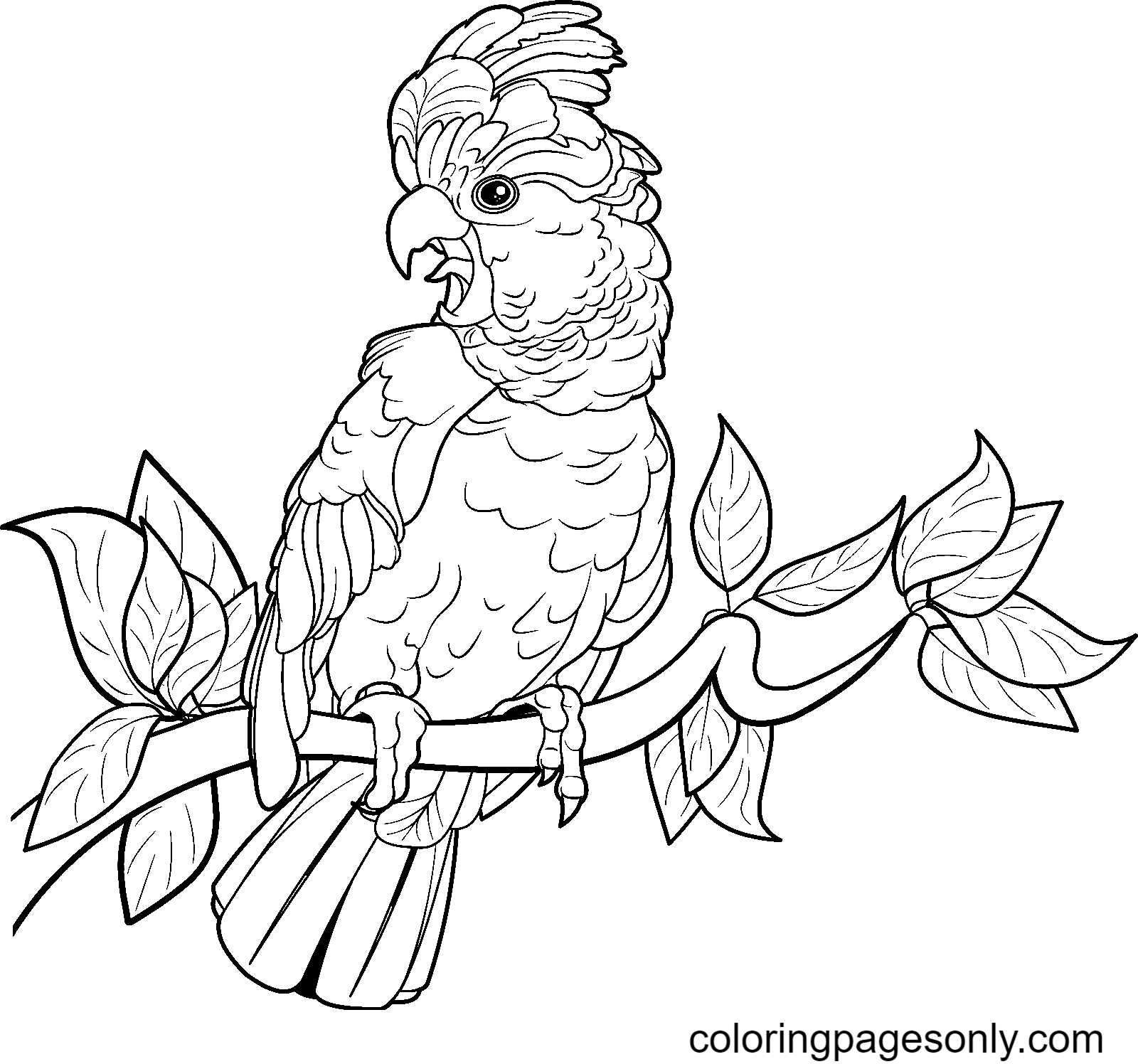 Cockatoo on Tree Branch Coloring Pages - Parrot Coloring Pages - Coloring  Pages For Kids And Adults
