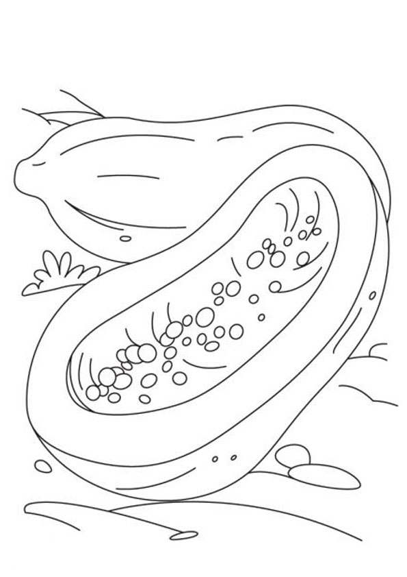 Coloring Pages | Sliced Papaya Coloring Page for kids