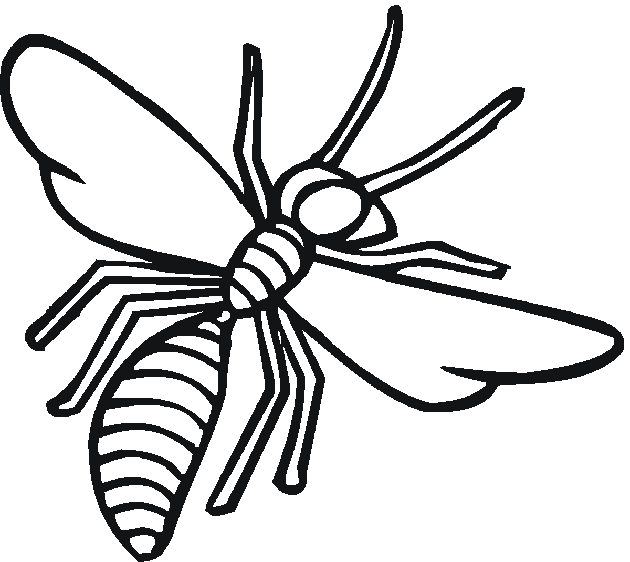 wasp insect coloring pages Coloring4free - Coloring4Free.com