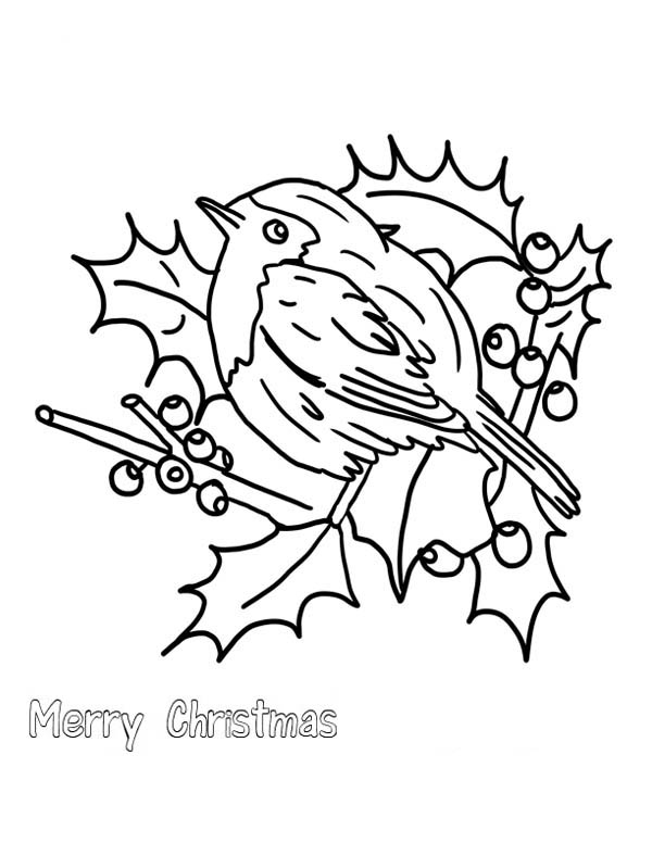 Christmas Floral Arrangements And Robin Bird Coloring Page - Download &  Print Online Coloring Pages for Free | Color Nimbus