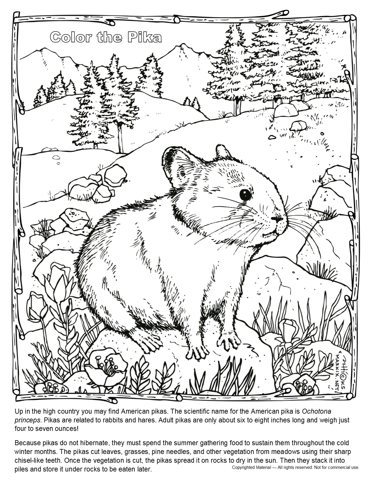 Pika Coloring Page