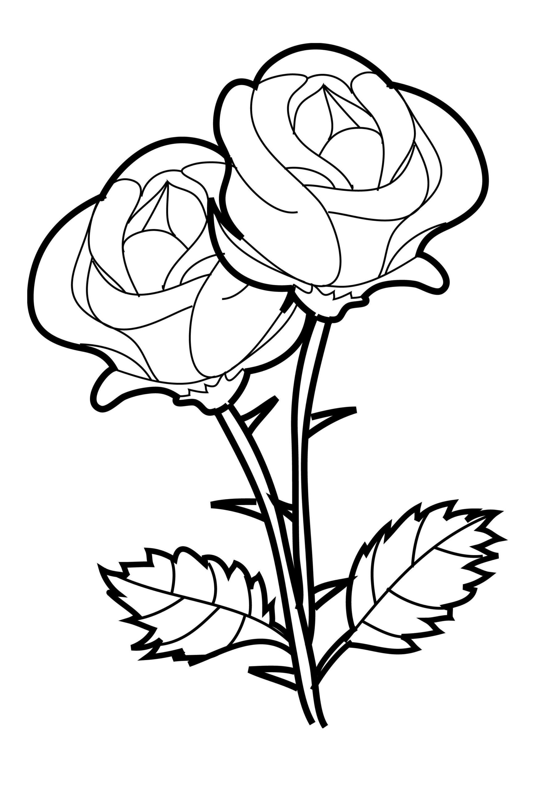 Coloring Pages Color Free Printable Flower Coloring Flowers