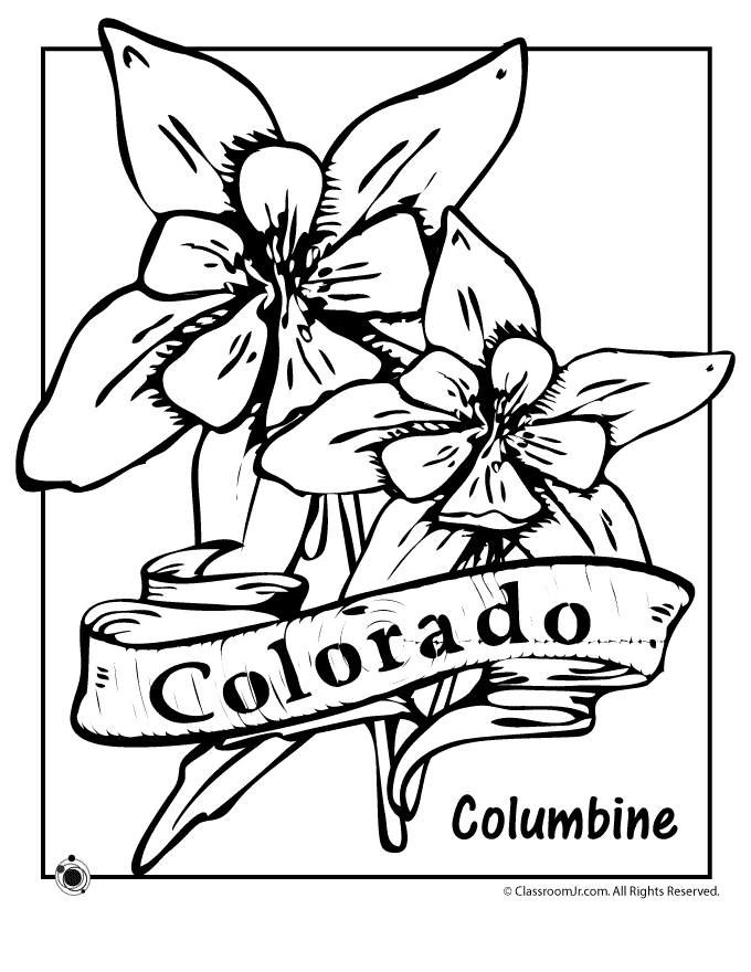 Colorado State Flower Coloring Page | Woo! Jr. Kids Activities