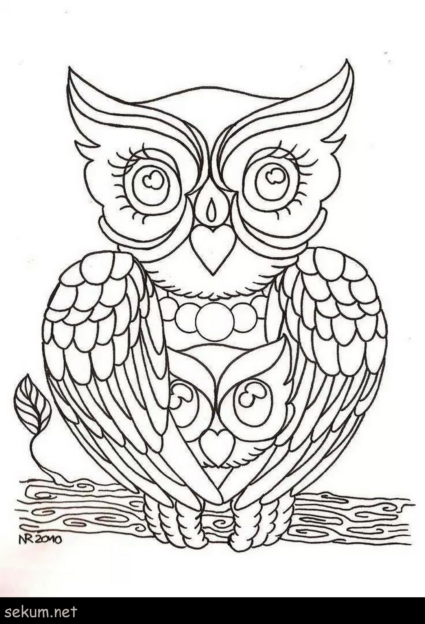 Cute Owls Coloring Pages - Coloring Home