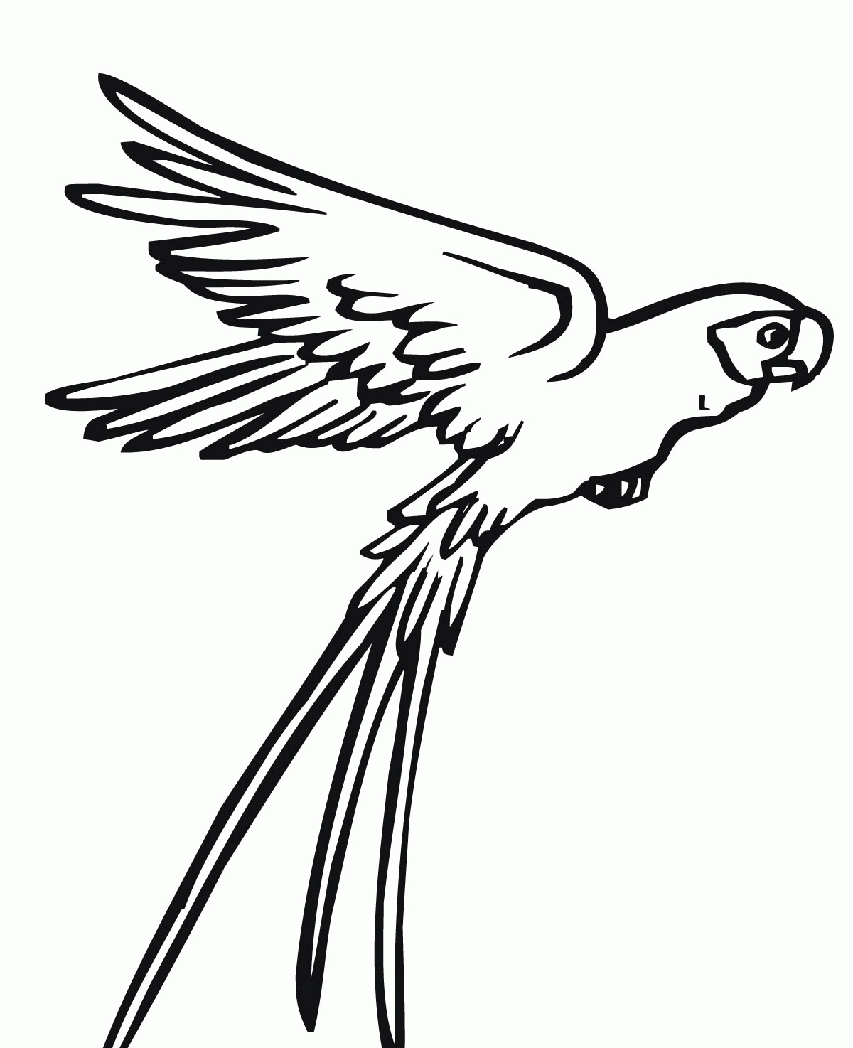 Flying Bird Coloring Pages : Flying Falcon Bird Coloring Pages ...