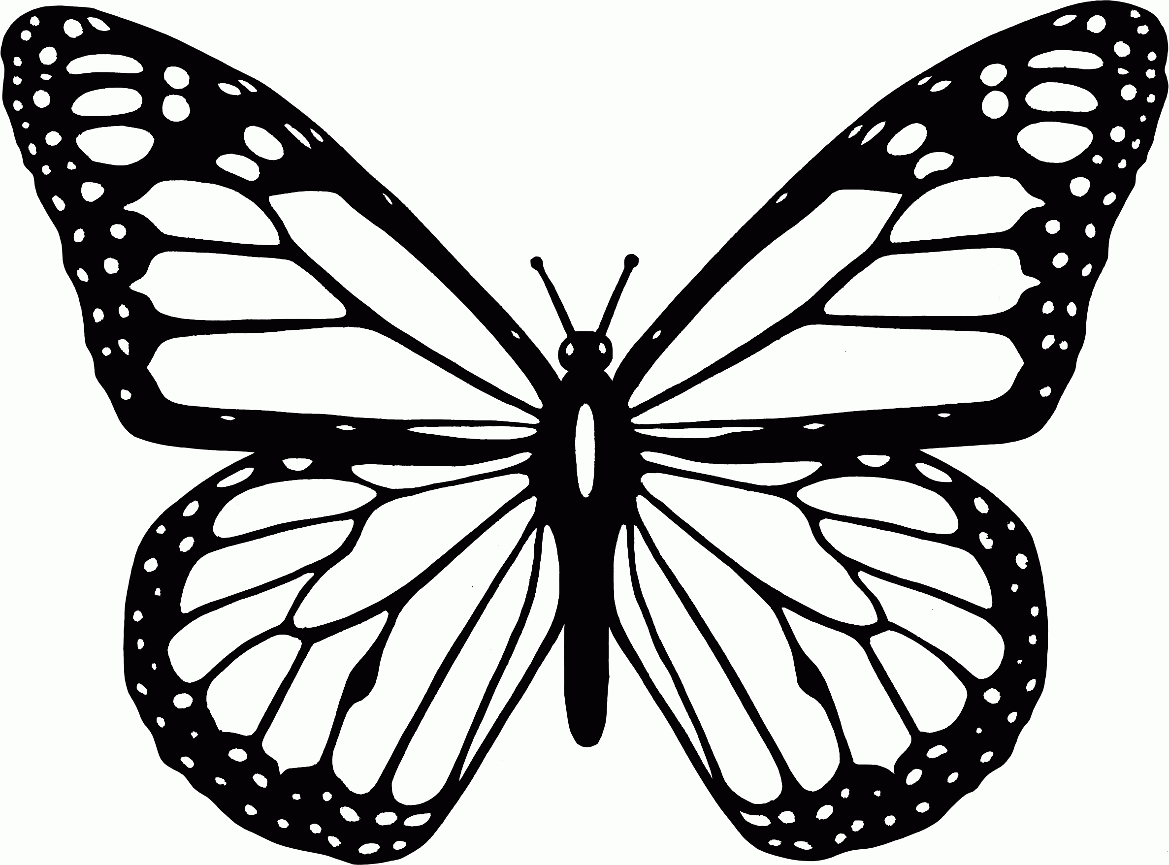 Monarch Butterfly Coloring Page   High Quality Coloring Pages ...