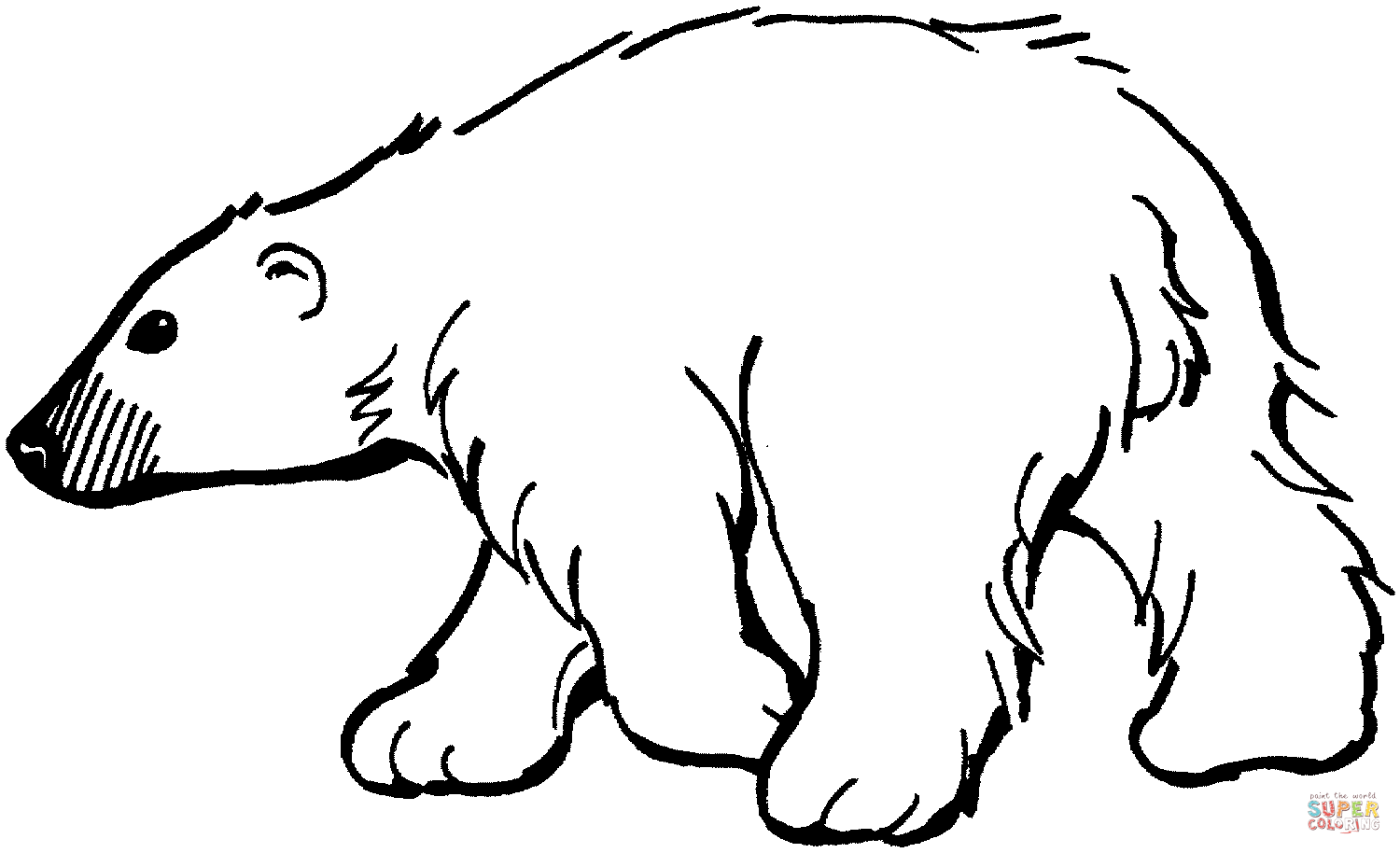 Polar Bear Coloring Page Outline