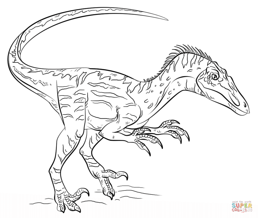 Velociraptor coloring page | Free Printable Coloring Pages