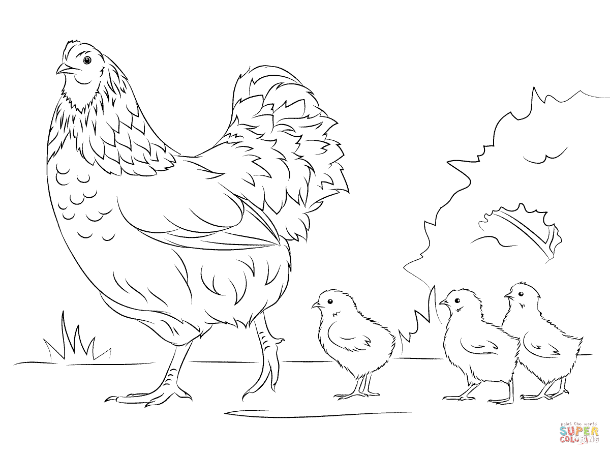 Hen And Chicks Coloring Page Coloring Home