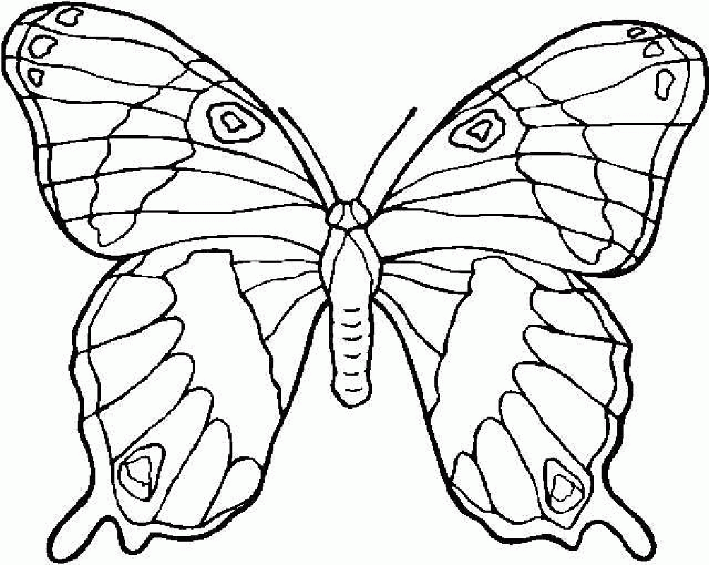 Free Butterfly Printable Coloring Pages 2016 - VoteForVerde.com