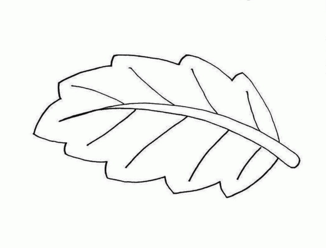 Printable Leaves Coloring Pages - Coloring Home