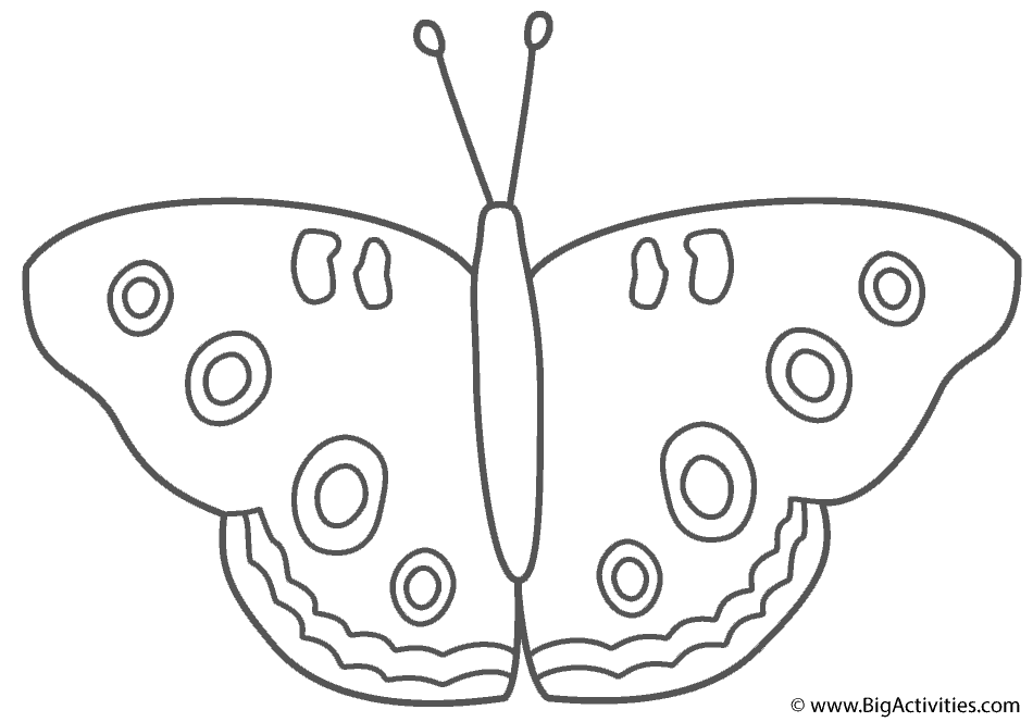 Butterfly Coloring Pages and Book | UniqueColoringPages