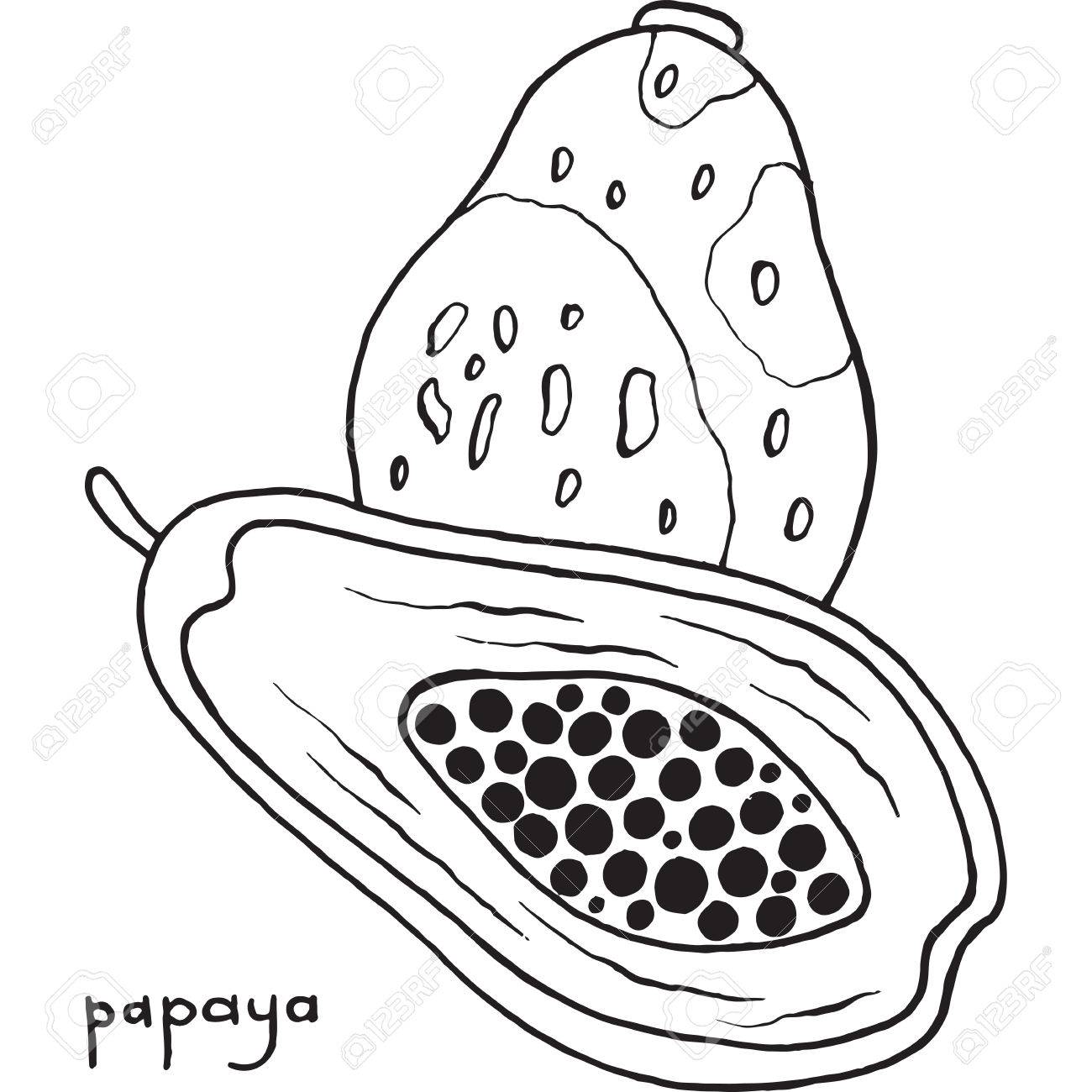 Papaya Drawing at GetDrawings | Free download