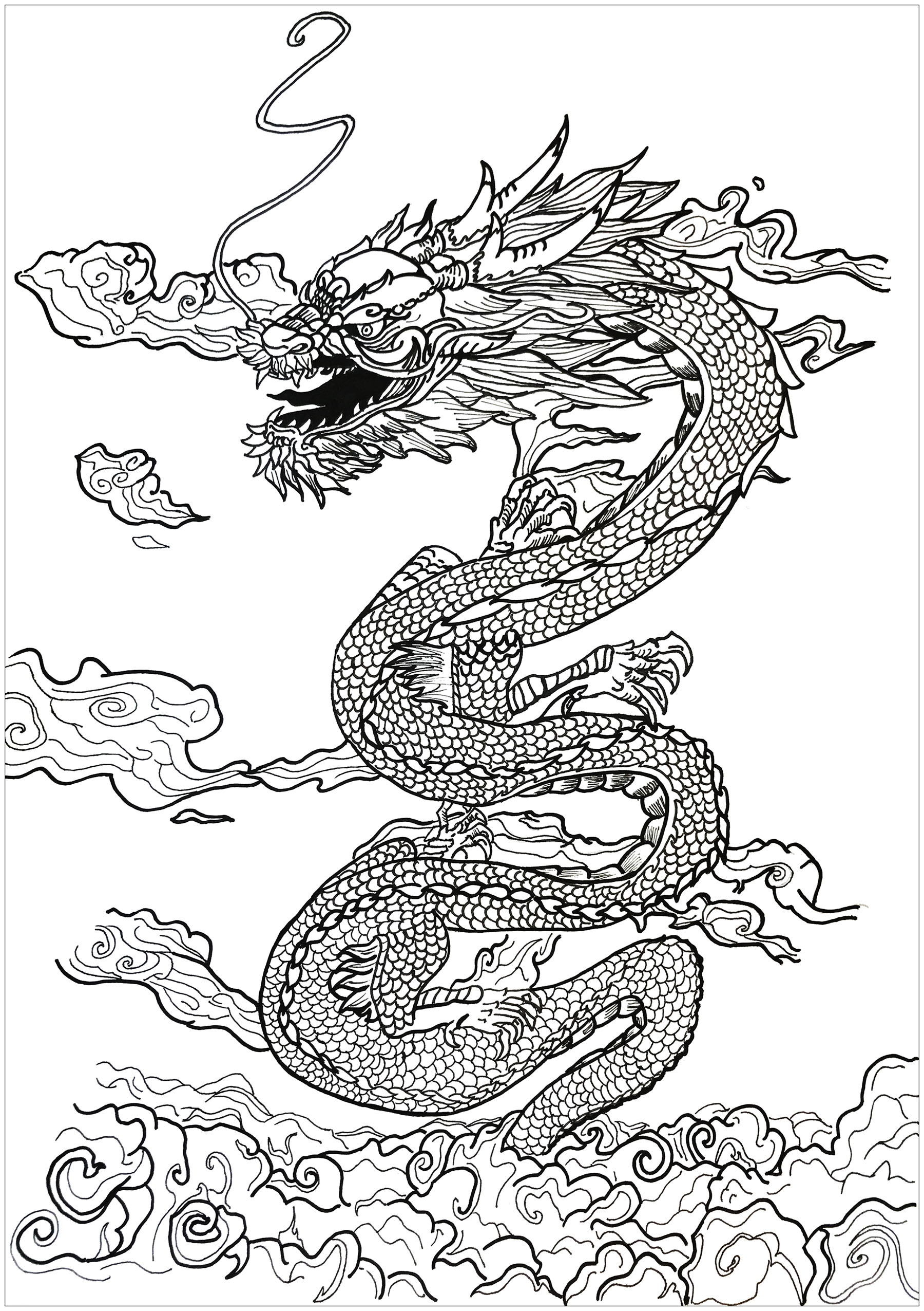 Dragon asian inspiration - Dragons Adult Coloring Pages