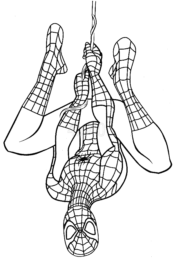 Spiderman Coloring Pages Hanging Upside Down Coloring4free -   - Coloring Home