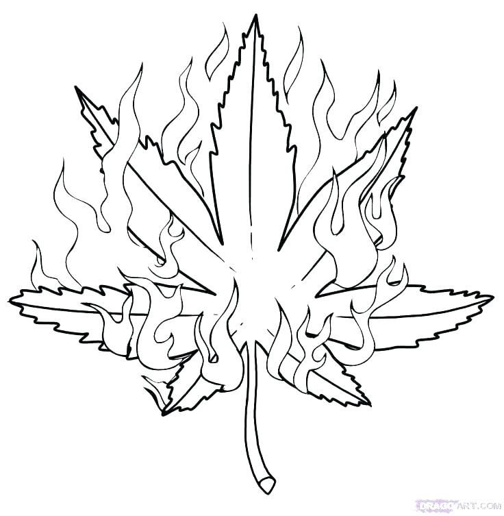 Dope Coloring Pages Free to Color