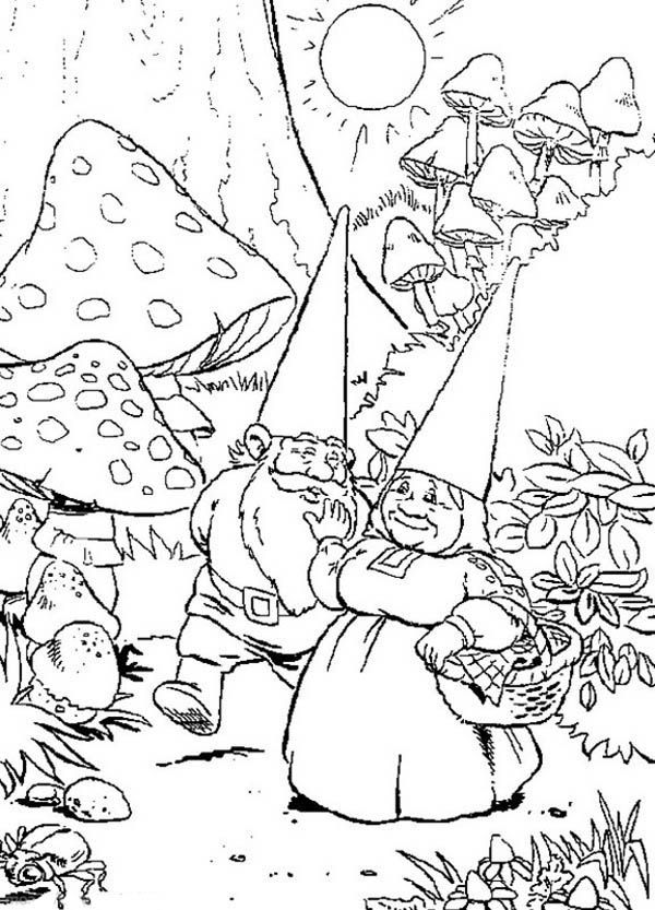 913 Cartoon David The Gnome Coloring Pages with disney character