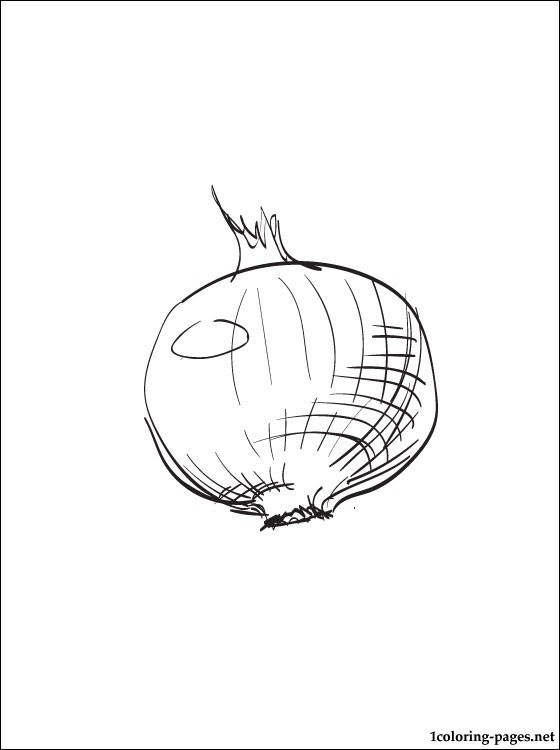 Onion coloring page | Coloring pages
