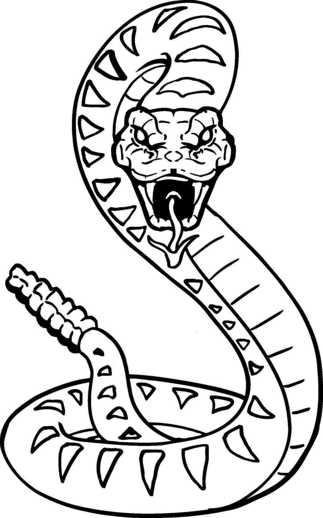 Google Image Result for https://paintingvalley.com/drawings/cobra-snake-head-drawing-35.jpg  in 2020 | Snake coloring pages, Snake drawing, Coloring pages