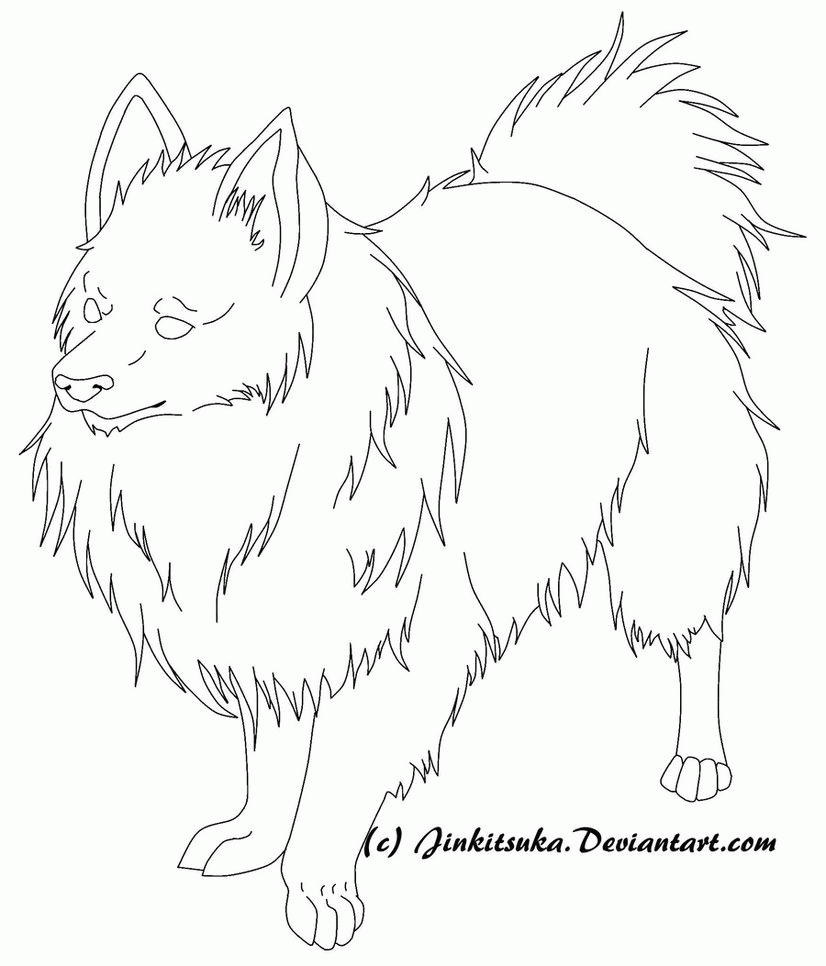pomeranian coloring pages free