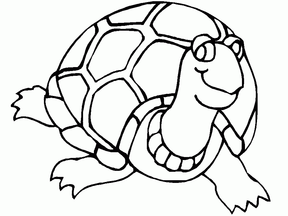 First Paper Sea Turtle Drawing Coloring Printable Pages Colorine ...