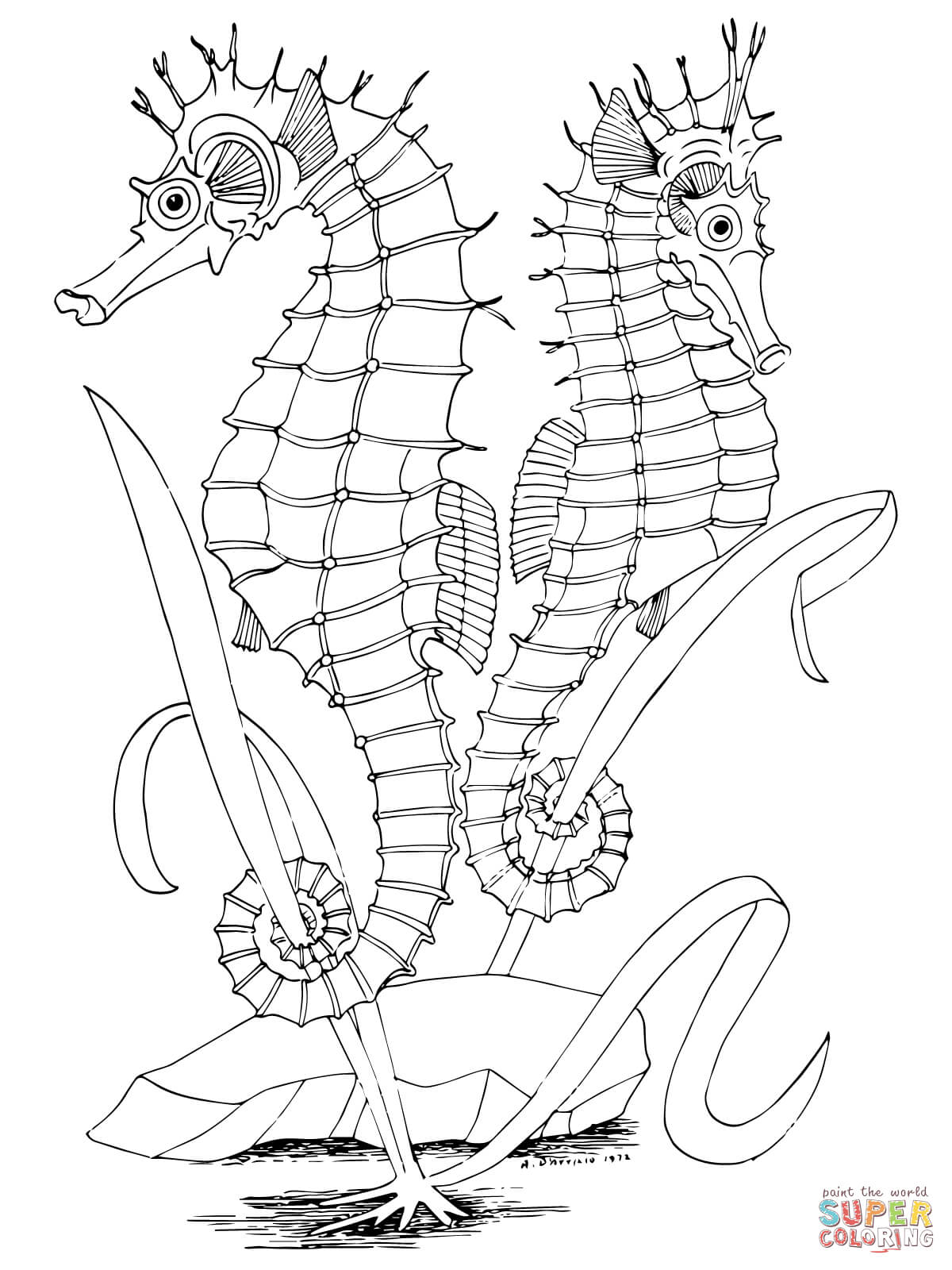 Two Seahorses coloring page | Free Printable Coloring Pages