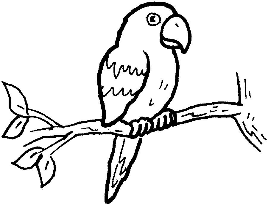Free Printable Parrot Coloring Page For Kids Coloring Home