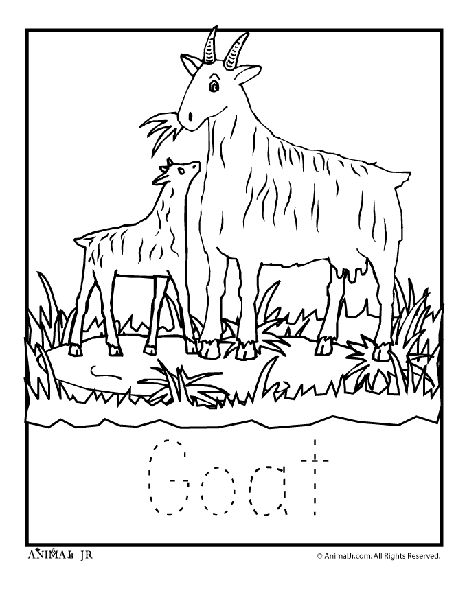Zoo Animal Coloring Pages: Baby Goat | Woo! Jr. Kids Activities :  Children's Publishing
