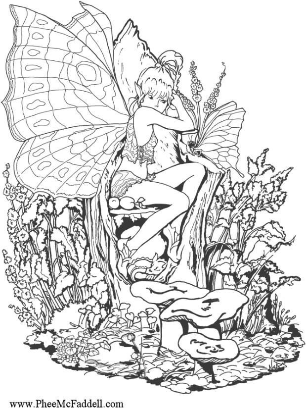 fairies coloring pages for adults  coloring home